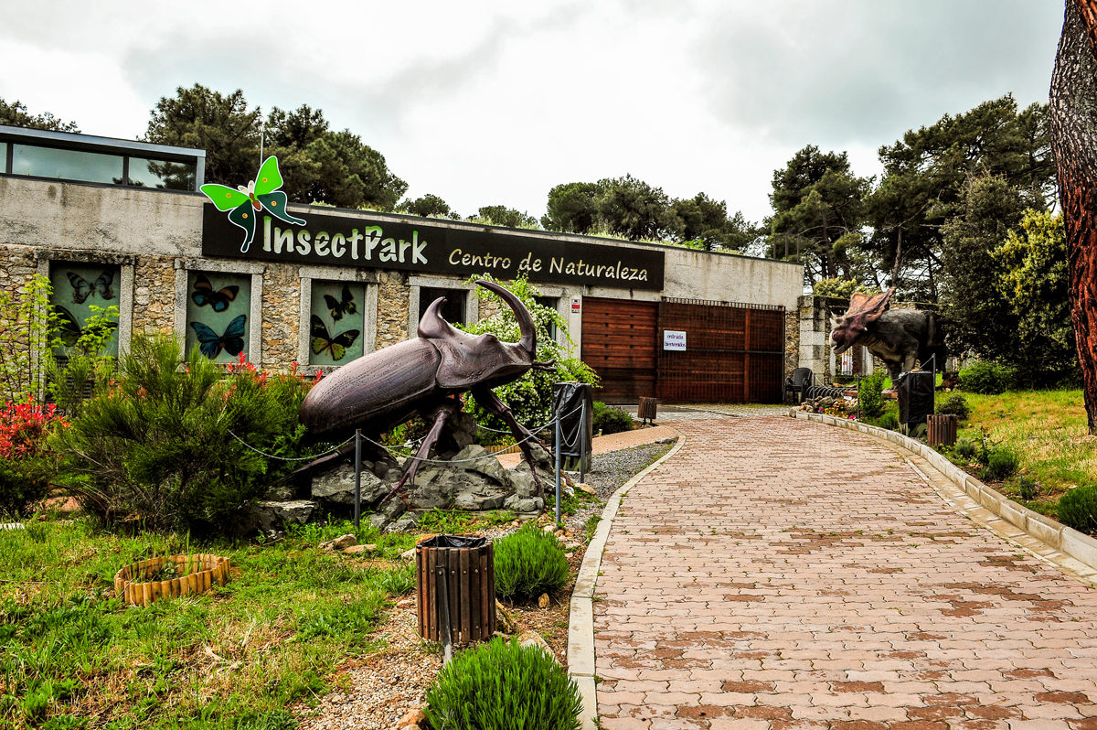 Foto de portada Insectpark